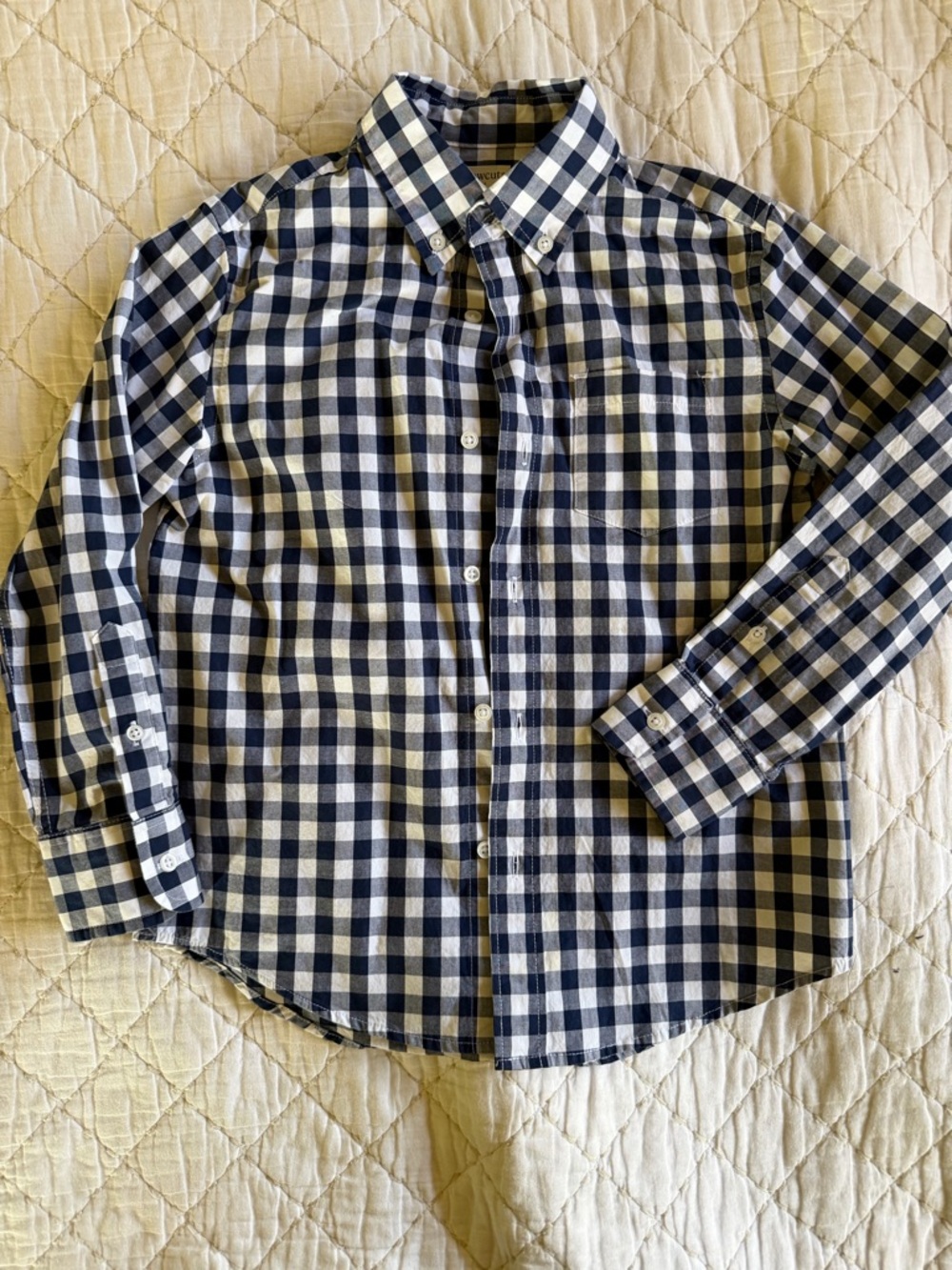 Crewcuts Classic Navy and White Gingham Button-Down Shirt (6-7)